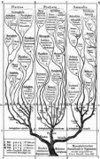 進化系統樹